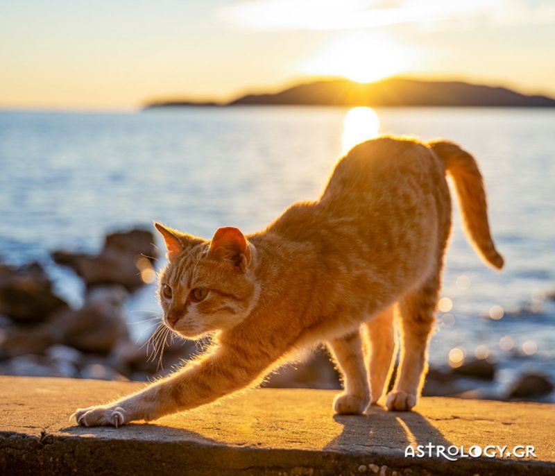 Διάβασε ΔΩΡΕΑΝ την προσωπική σου πρόβλεψη, για σήμερα 06/07/2022