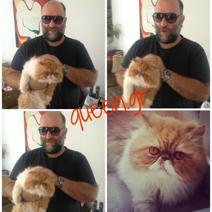 Σαν τον Μπάμπη Στόκα ουδείς ..