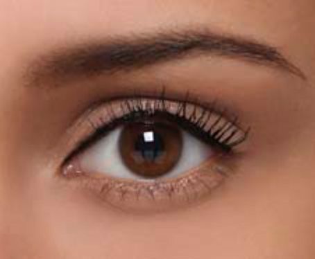Aqua_Liner_step_by_step-1a_copy