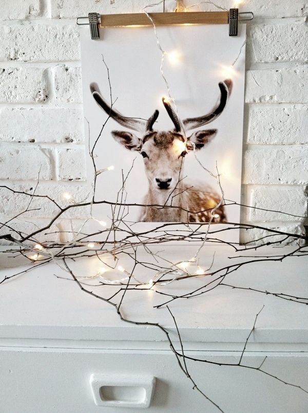 xmas lights 2 7b1f5