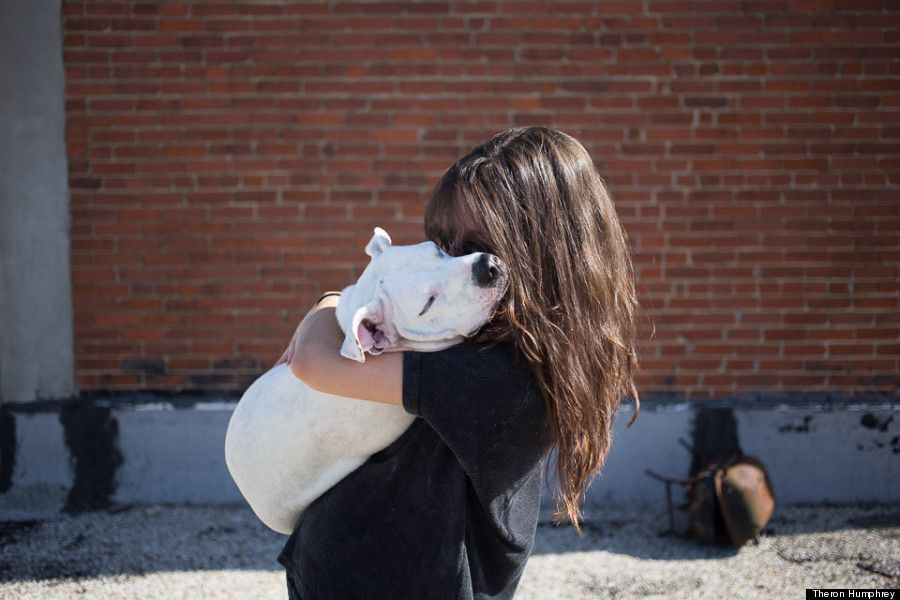 o DOG HUG 900 e51c4