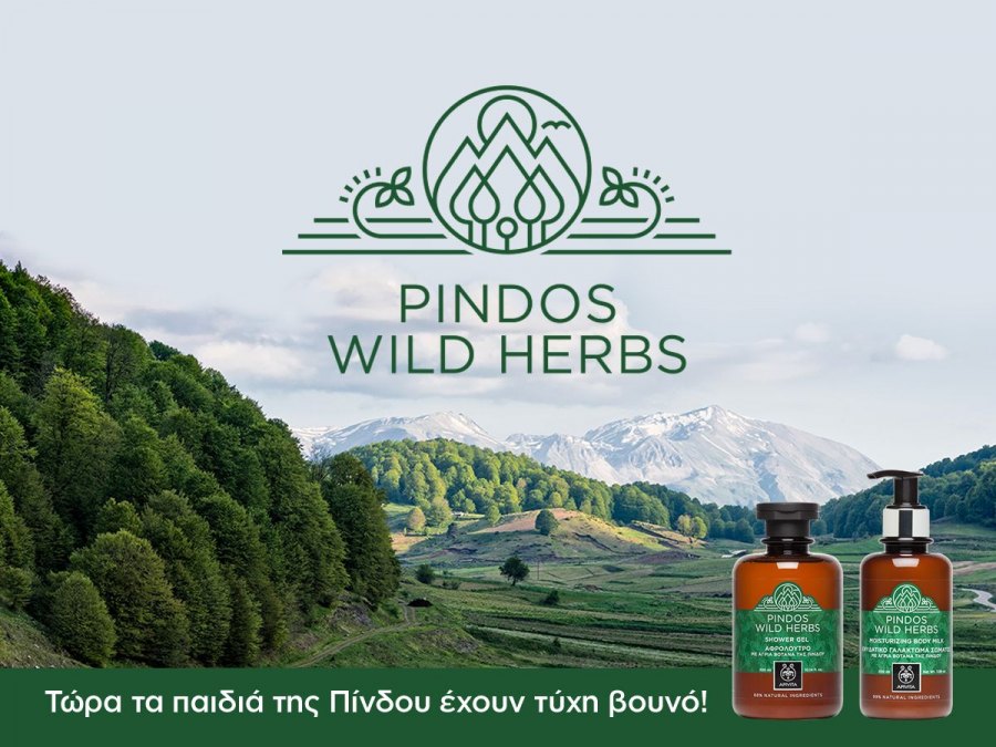 PINDOS 2