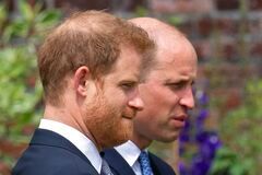 william harry3
