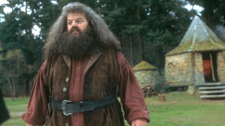 harry potter real characters6
