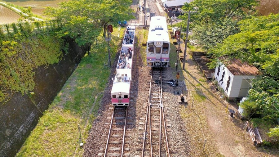 roz_treno.jpg