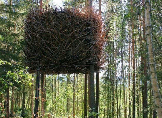 The_Birds_Nest