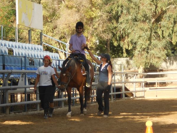 horse1