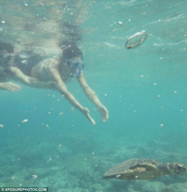 2514FA1F00000578-2926786-Cheryl reaches for a turtle as they swim in the crystal clear wa-m-16 1422286401399