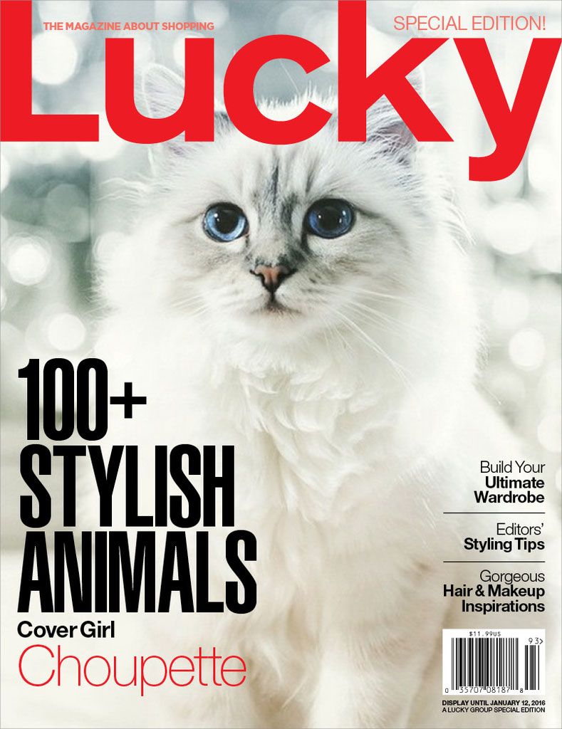 choupette-lagerfeld-lucky-cover-2015 cf62f