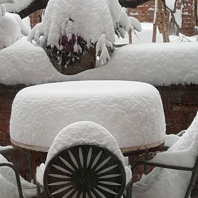 sjp snow1 733f7