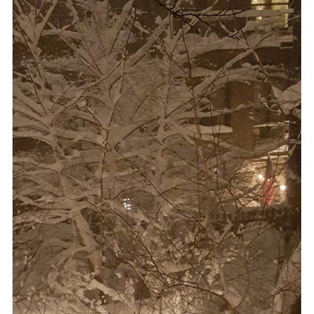 sjp snow4 cee7b