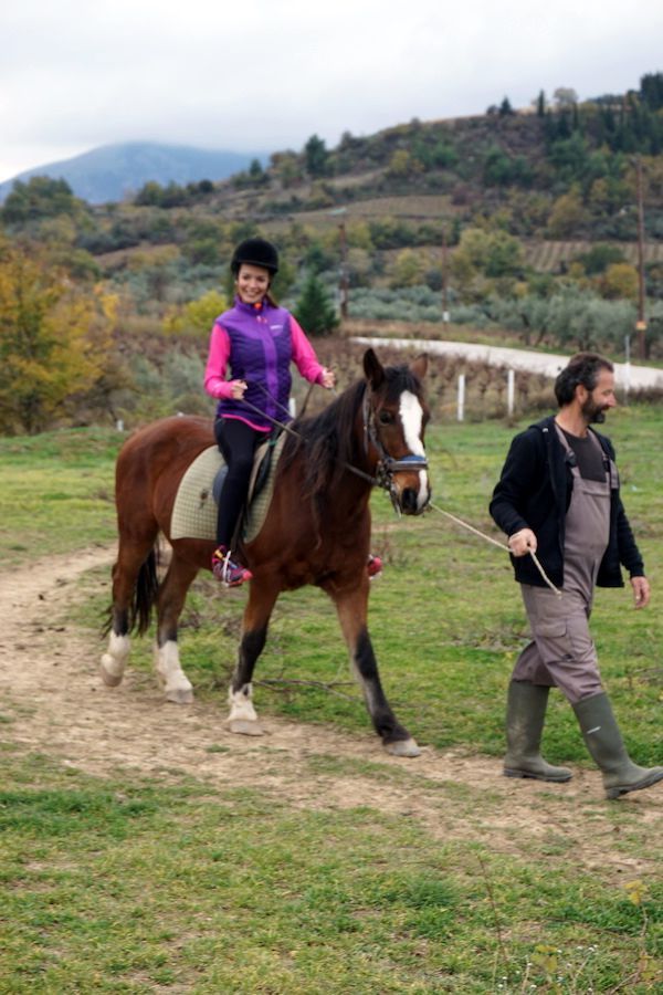 horse ad8c8