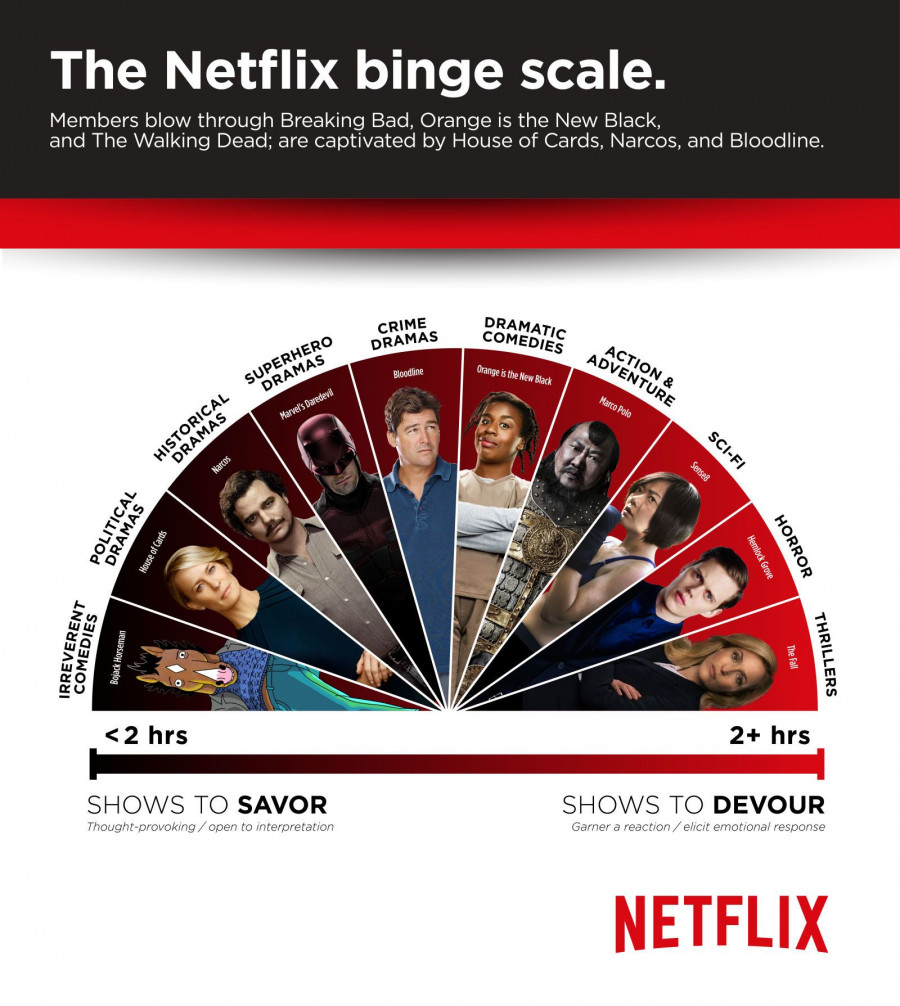 scale 911c0