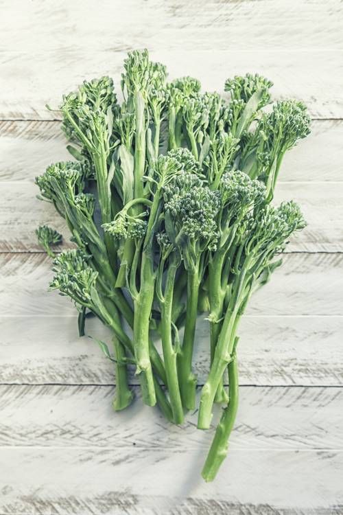 brocoli