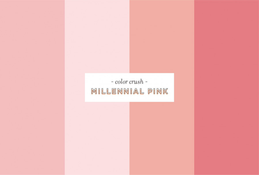 ColorBoard ColorCrushMillennialPink 02