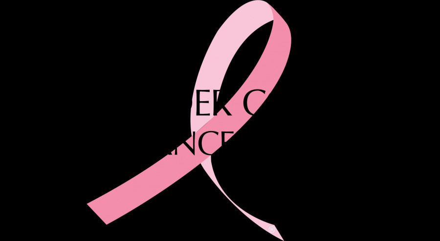 ELC logo2017 transparent file FINAL