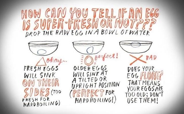 expired eggs