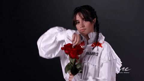 giphy 3