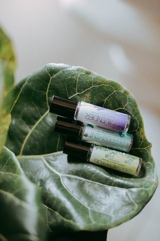 photo of three product bottles on green leaf 3616984