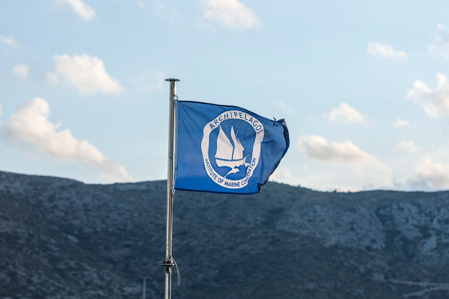 Ινστιτουτο Αρχιπελαγος Margarita Nikitaki copy