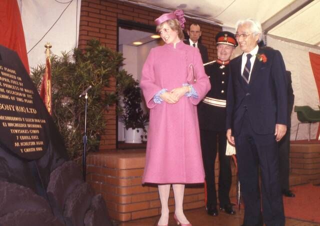 prigkipissa diana roz2