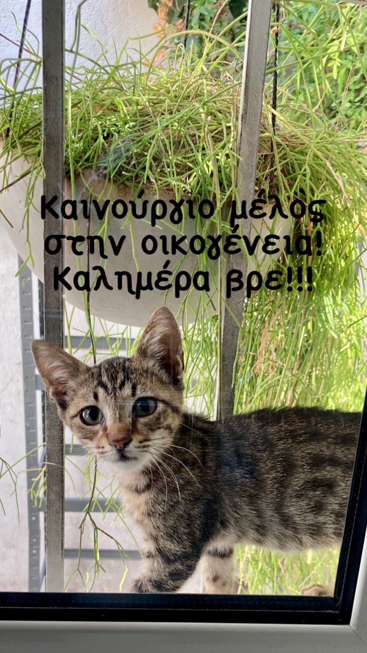 kaitigarbi 240350593 237918508232186 7765176164470484368 n