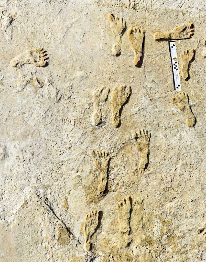 apolithomata anthropon1