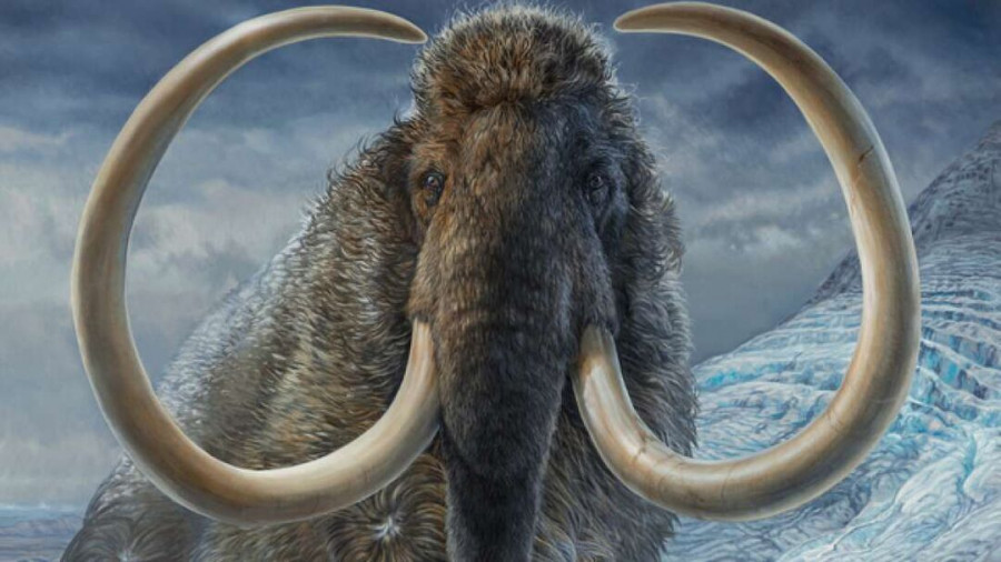 mamouth2