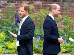 harrywilliam