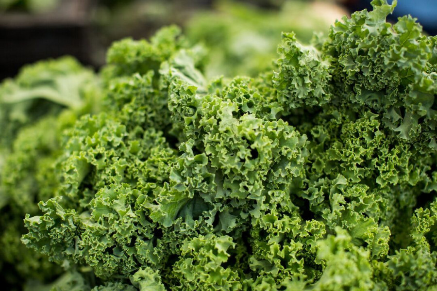 kale 2