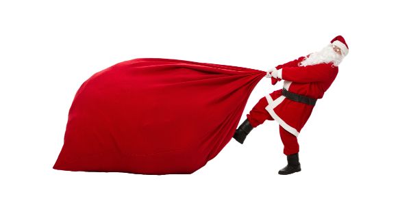 dear Santa 2022