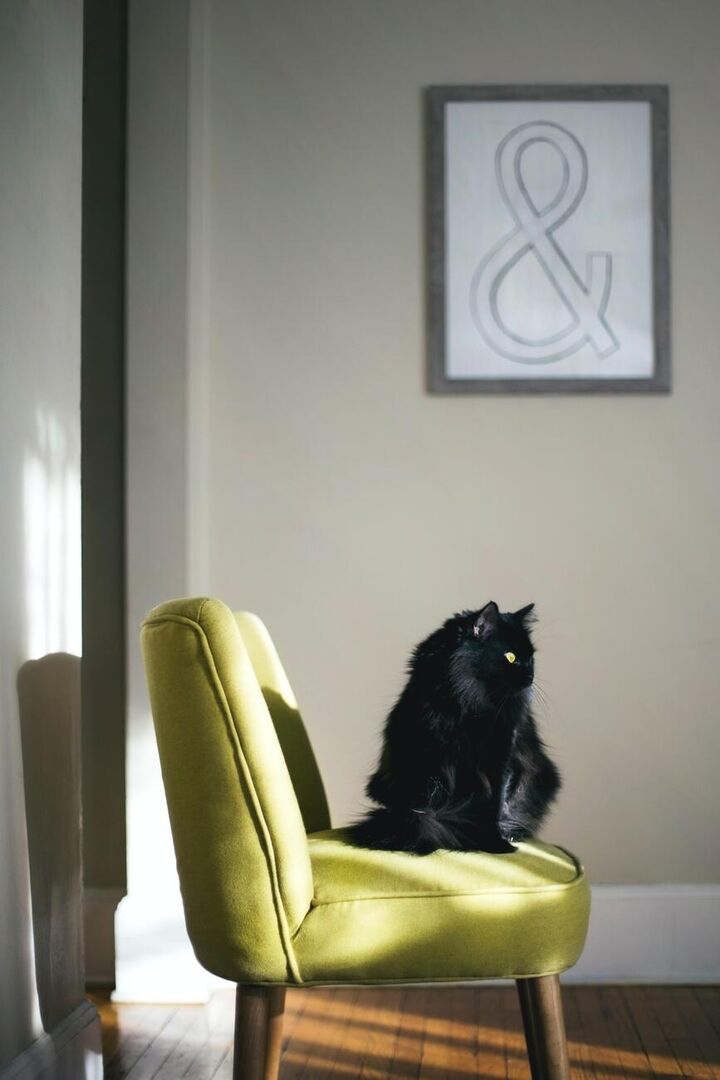 GATA1 2