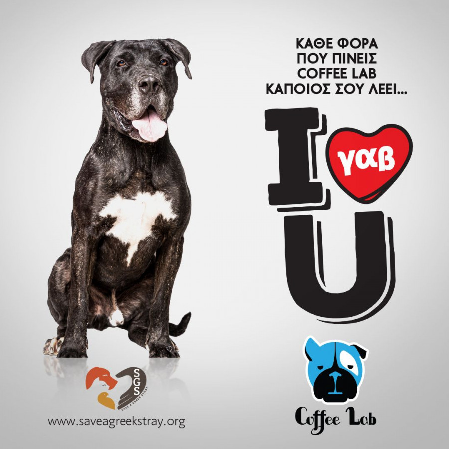 I gav U Coffee Lab