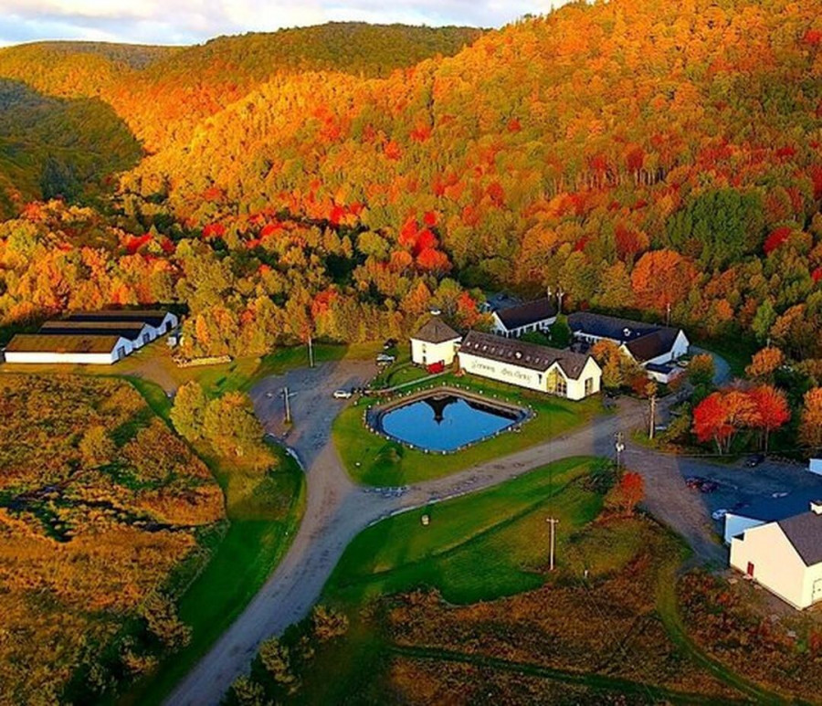 glenora inn