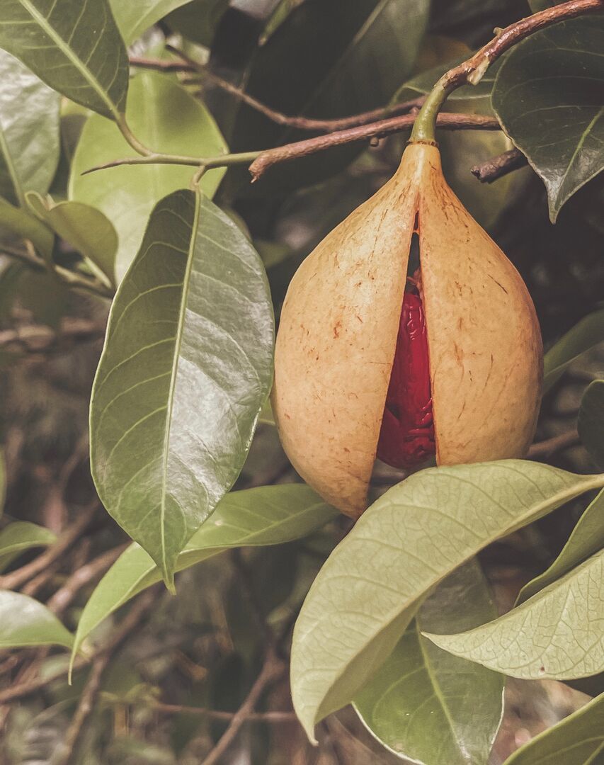 tyler gooding SVfGD1QJ5jA unsplash