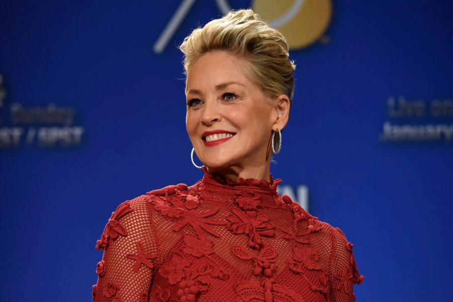 sharon stone dc movie7