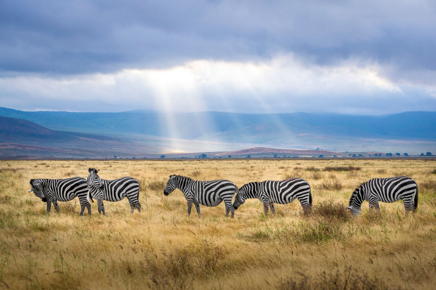 tanzania.jpg