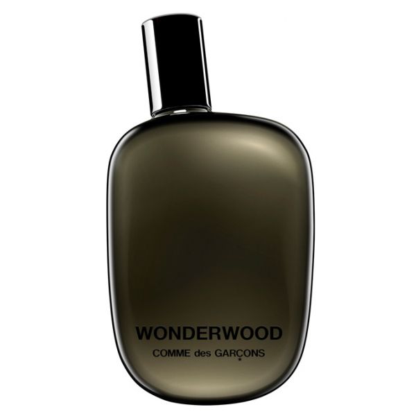 COMME-DES-GARCONS-WONDERWOOD.jpg
