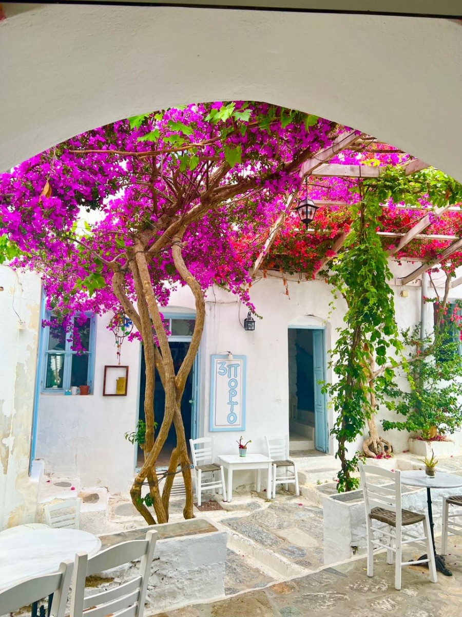 1655896922096-769311679-amorgos_3.jpeg