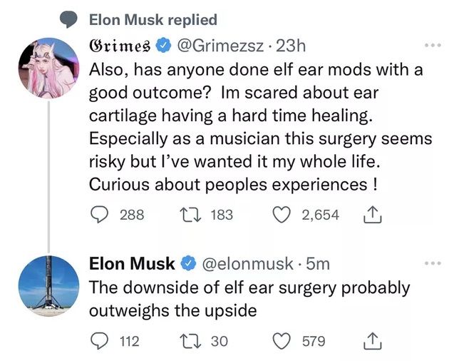 grimes_elon_musk_tweet.jpg