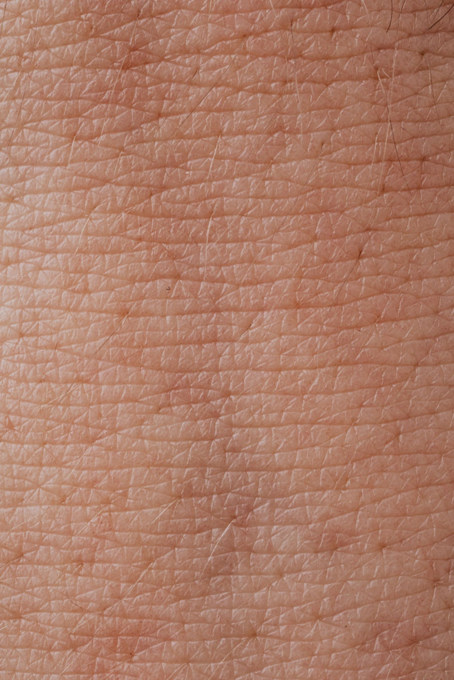 pexels-karolina-grabowska-4046567.jpeg